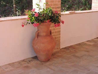 DSCN3624.JPG