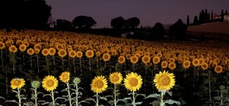 AnyConv.com__IMG_1808.jpg