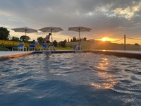 AnyConv.com__IMG_1809.jpg